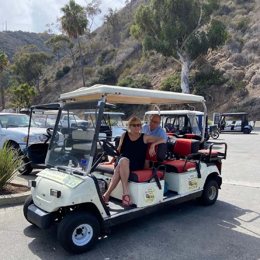 Catalina Island: Private Guided Golf Cart Tour of Avalon - Wrigley Memorial and Botanic Garden