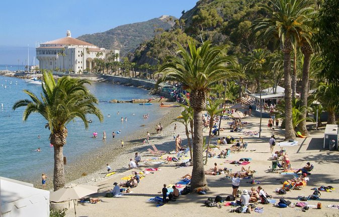 Catalina Island w/Discover Avalon Scenic Tour & Hotel transfers - What this Catalina day trip really includes