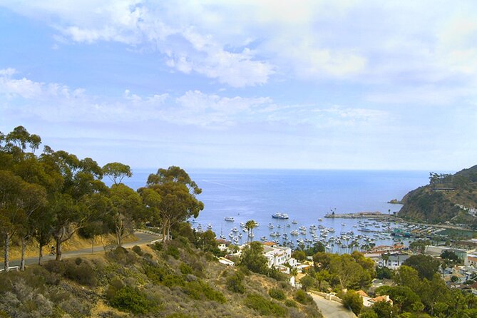 Catalina Island w/Discover Avalon Scenic Tour & Hotel transfers - Green Pleasure Pier and Avalon Harbor