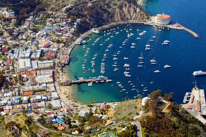 Catalina Island w/Discover Avalon Scenic Tour & Hotel transfers - How long you actually get on Catalina