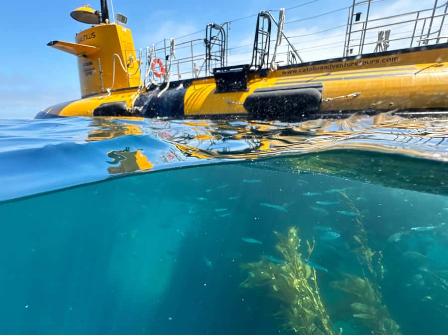 Catalina Island: Yellow Semi-Submarine Cruise - Key points to know before boarding