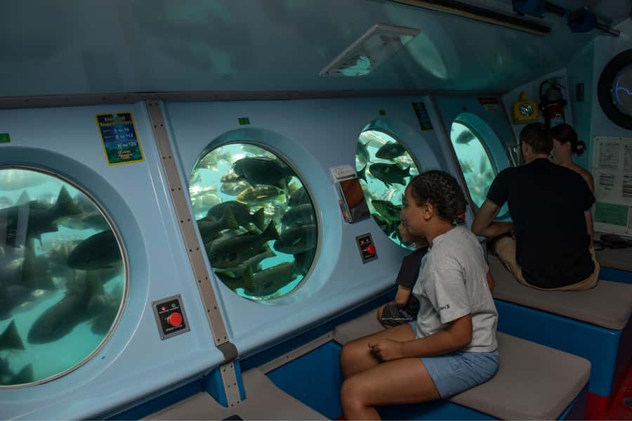 Catalina Island: Yellow Semi-Submarine Cruise - How good is the underwater visibility?