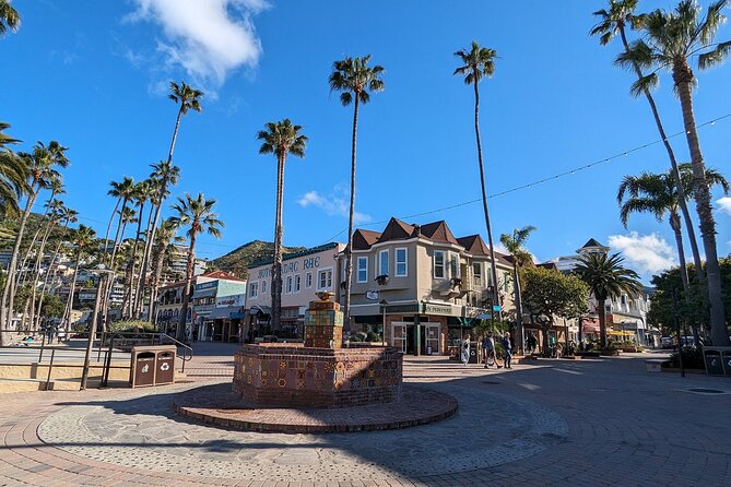 Catalina Scavenger Hunt Walking Tour and Game - Key points before you book