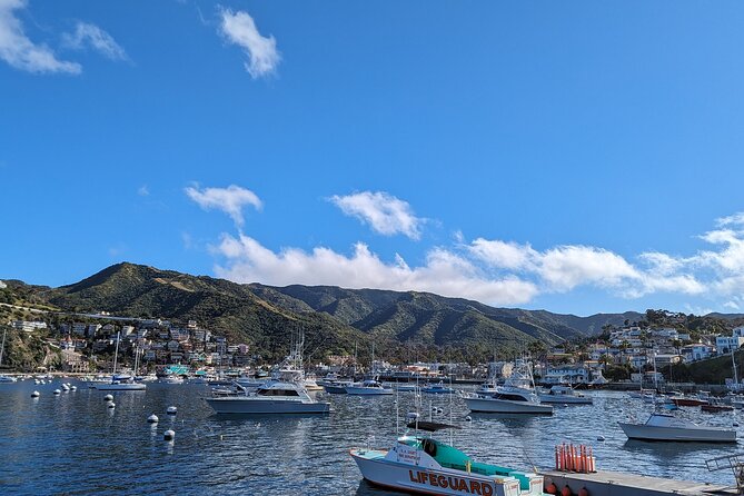 Catalina Scavenger Hunt Walking Tour and Game - Turning Avalon into a 19-question game