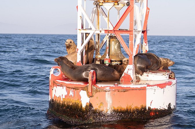 Coastal Cruise on Yacht in Santa Barbara - Who will enjoy this cruise most
