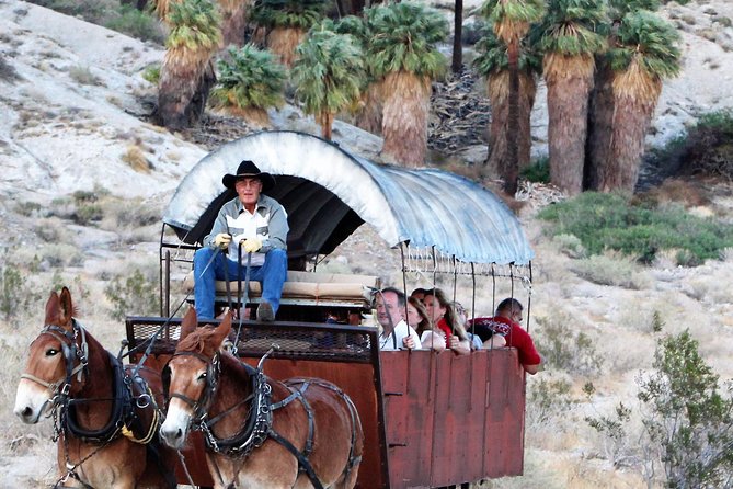 Covered Wagon Adventure & BBQ - Key points to know before you book