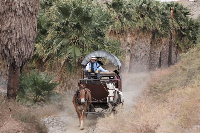 Covered Wagon Adventure & BBQ - The palm oasis walk and what to expect underfoot