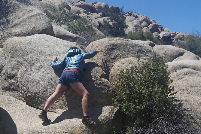 CreativeSoul ScavengerHunt(Hidden Valley,Joshua Tree)Remote Host - The Difference Between a Scavenger Hunt and a Guided Tour