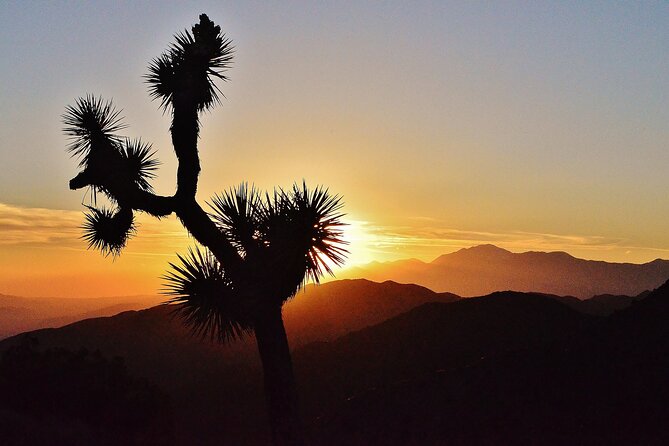 CreativeSoul ScavengerHunt(Hidden Valley,Joshua Tree)Remote Host - Who Will Enjoy This Most