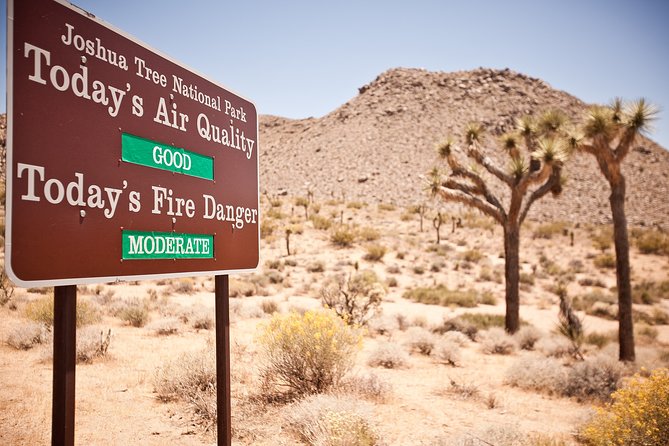 CreativeSoul ScavengerHunt(Hidden Valley,Joshua Tree)Remote Host - Hidden Valley: One Mile of Clues and Creative Tasks
