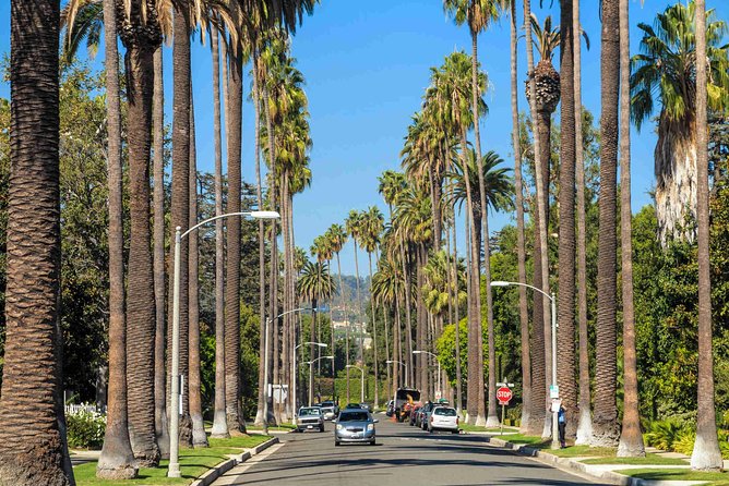Deluxe Los Angeles 5-Hour Limo Tour with Drinks Included - What the private limo setting adds