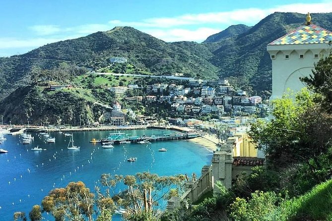 Discover Avalon: Catalina Scenic Tour - Why this short ride works so well in Avalon