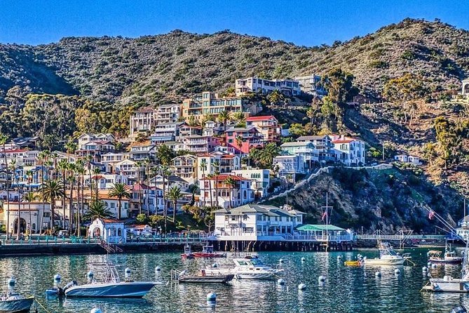 Discover Avalon: Catalina Scenic Tour - Climbing into Avalon’s hills