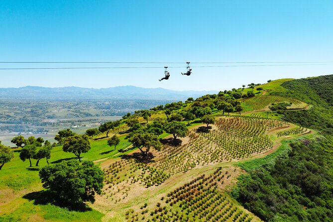 Epic Zipline Tour near Santa Barbara - Key points to know before booking