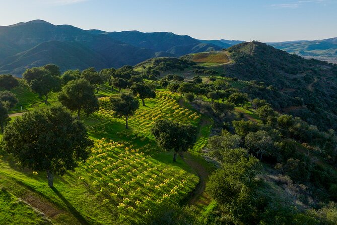 Epic Zipline Tour near Santa Barbara - The guides and the safety routine