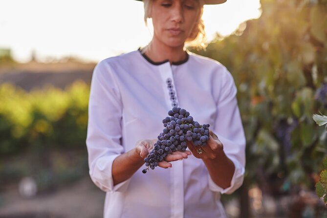 Europa Village Winery Tour including 8 Tastings & 3 Food Pairings - Key points to know before you book