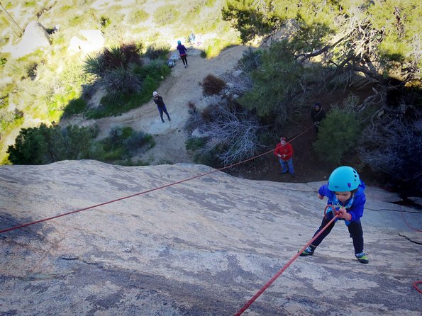 Family Rock Climbing Trips in Joshua Tree National Park (4 Hours) - Why the private format matters