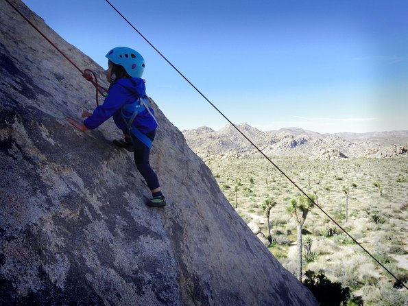 Family Rock Climbing Trips in Joshua Tree National Park (6 Hours) - Six Hours of Family Climbing in Joshua Tree