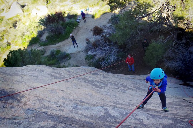 Family Rock Climbing Trips in Joshua Tree National Park (6 Hours) - Gear for Climbers as Young as Two