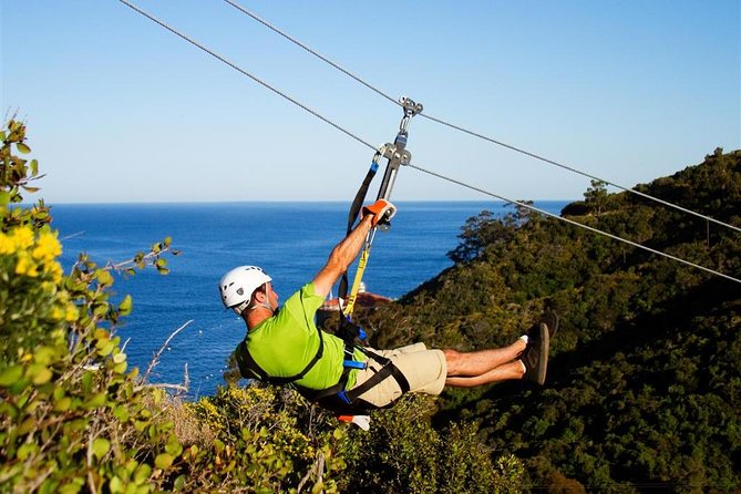 From LA: Catalina Island with Zipline Tour and Hotel Pickup - Who will enjoy this Catalina day trip