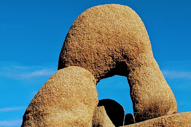 Full Day Hike in Joshua Tree National Park - Reading Joshua Tree through geology and plants