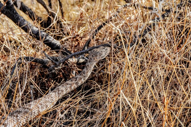 Full Day Hike in Joshua Tree National Park - A route shaped by weather, ability, and curiosity