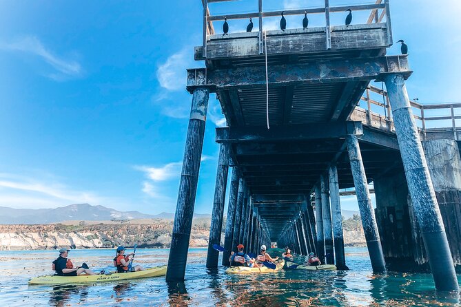 Gaviota Coast Kayak Tour Near Santa Barbara (3.5 Hours) - Paddling along a less-seen stretch of the Gaviota Coast