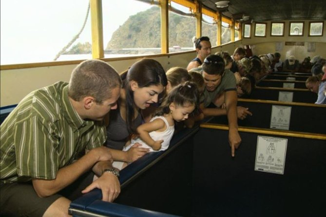 Glass Bottom Boat: Catalina Island Tour - What you actually see beneath Avalon