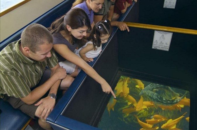 Glass Bottom Boat: Catalina Island Tour - The captains make a real difference