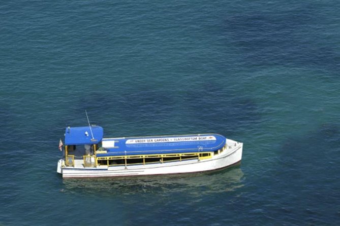 Glass Bottom Boat: Catalina Island Tour - Water clarity, weather, and the glass panels
