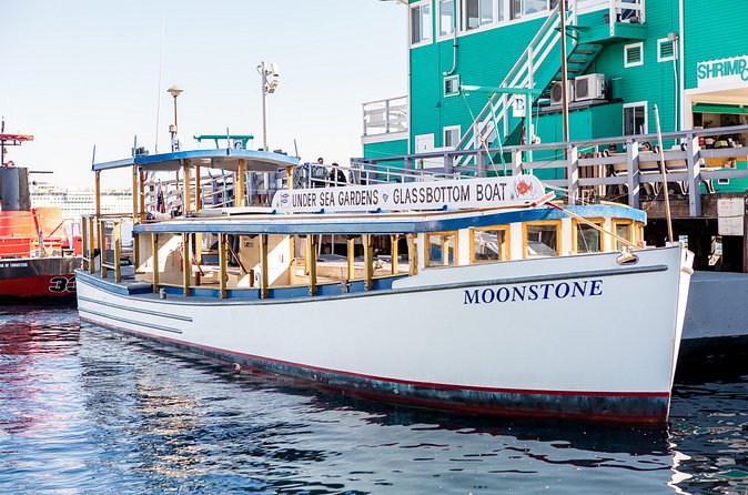Glass Bottom Boat: Catalina Island Tour - How to fit it into an Avalon day