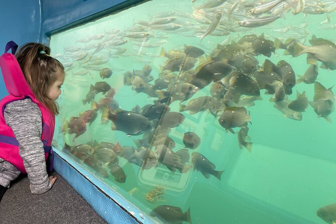 Glass Bottom Boat Ride in Redondo Beach - Key things to know before you book