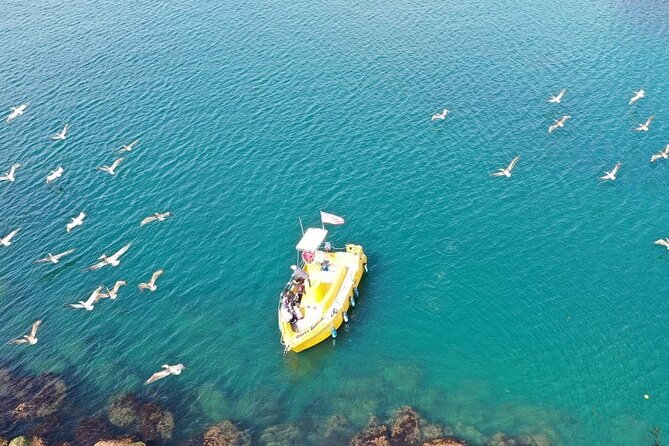 Glass Bottom Boat Ride in Redondo Beach - Starting outside on the main deck