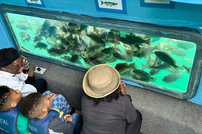 Glass Bottom Boat Ride in Redondo Beach - Who will enjoy this most