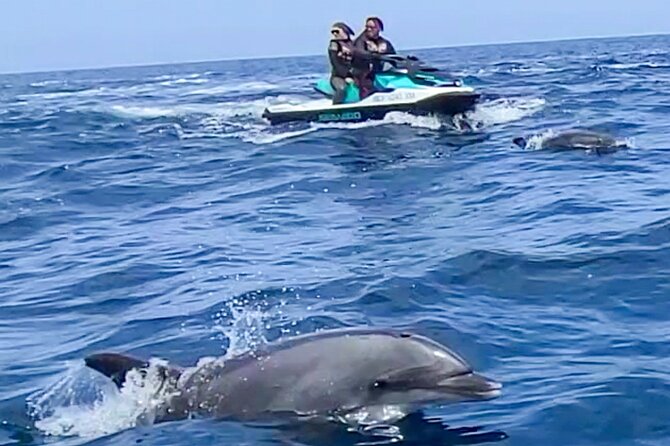Guided Two hours Jetski Coastal Tour - Dolphins, whales, and the luck of the water