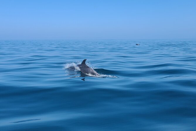 Guided Two hours Jetski Coastal Tour - What the two-hour route can show you