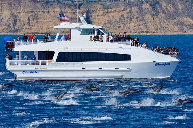 Guided Whale Watching Tour from Long Beach - Cold wind, choppy water, and seat strategy