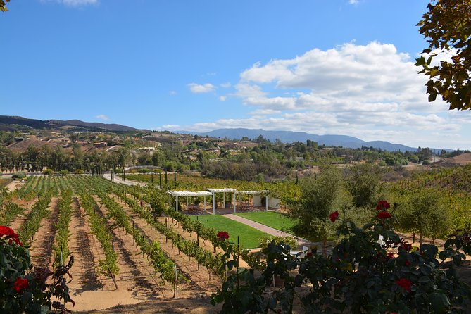 Guided Wine Tasting Tour of Temecula - Wilson Creek brings a different mood