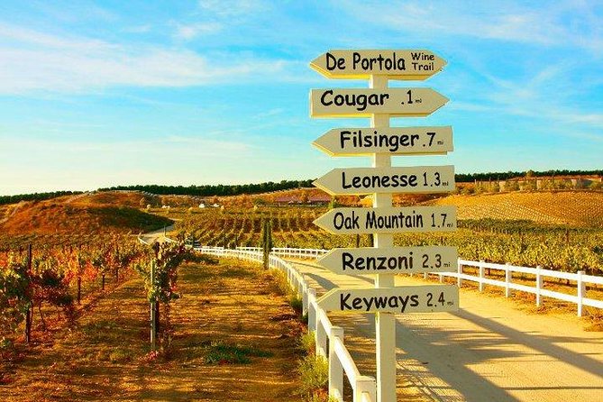Guided Wine Tasting Tour of Temecula - The guides make the driving worthwhile