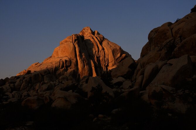 Half-Day Guided Hike in Joshua Tree National Park - Weather, safety, and realistic expectations