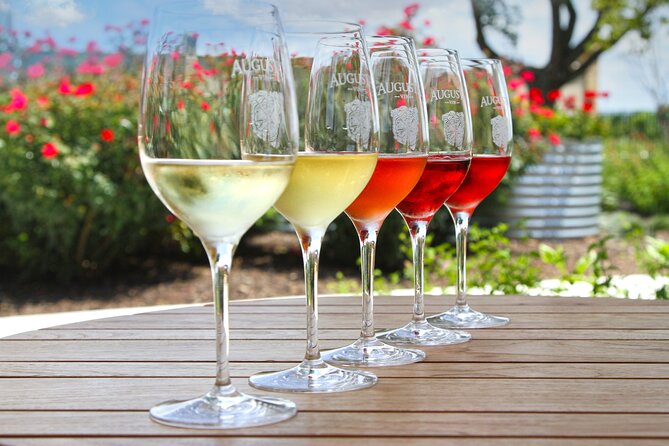 Historical Walking Food & Wine Funk Zone Santa Barbara Tour - Wine, beer, and the drinking balance