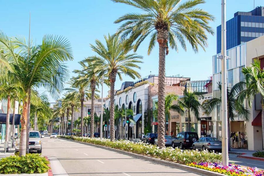 Hollywood, Beverly Hills, Santa Monica, Venice Beach Tour. - Pickup from airports, cruise ports, hotels, and homes