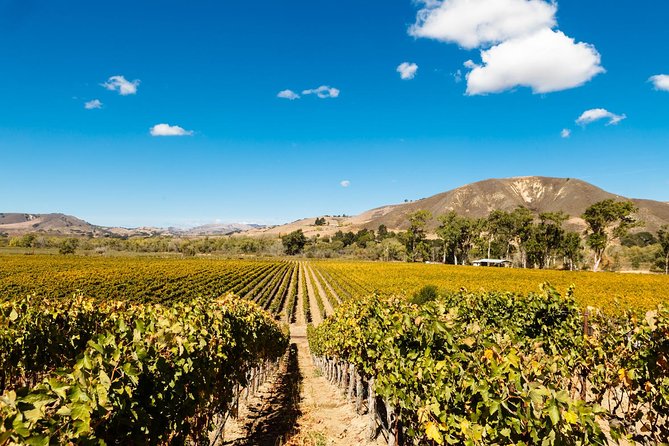 Horseback Riding and Wine Tasting Tour - Who will enjoy this most