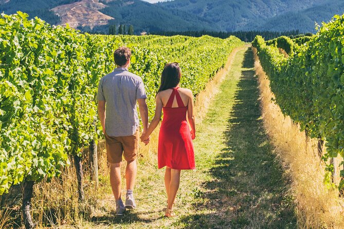 Horseback Riding and Wine Tasting Tour - A 90-minute ride through the canyon