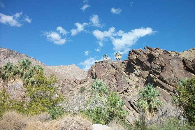Indian Canyons Hiking Tour by Jeep from Palm Desert - Andreas Creek and the one-mile oasis walk