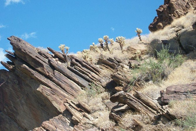 Indian Canyons Hiking Tour by Jeep from Palm Springs - Why Indian Canyons makes a strong Palm Springs outing