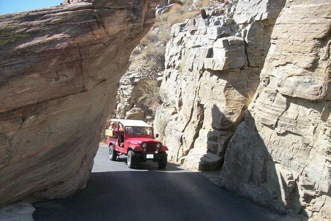 Indian Canyons Hiking Tour by Jeep from Palm Springs - Palm Canyon from the rim and the water cave