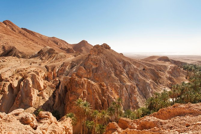 Indian Canyons Hiking Tour by Jeep from Palm Springs - Andreas Canyon and the one-mile creekside walk