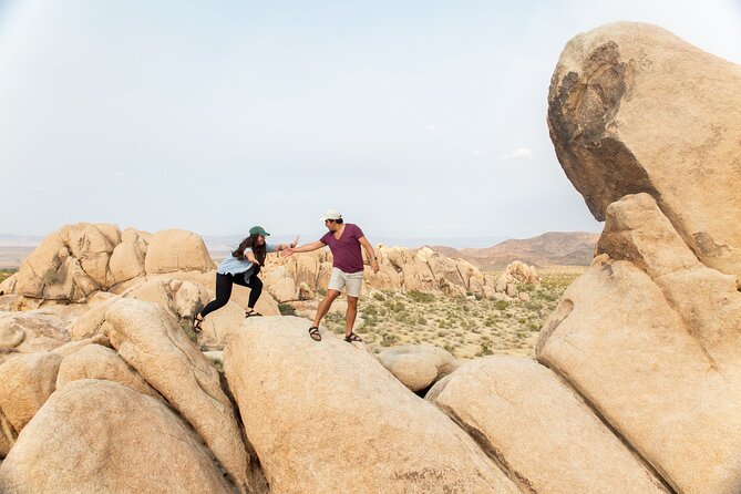 Joshua Tree Full Day Private Tour & Hike - Key points to know before booking