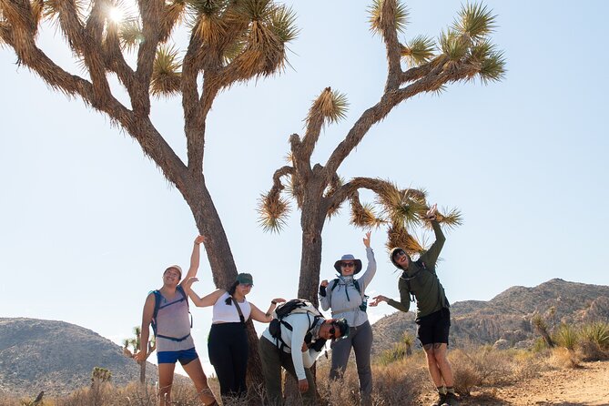 Joshua Tree Full Day Private Tour & Hike - Skull Rock and Jumbo Rocks